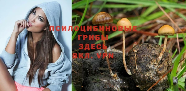 ALPHA PVP Алексеевка