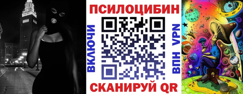 дарнет шоп  Михайловск  Галлюциногенные грибы мицелий 