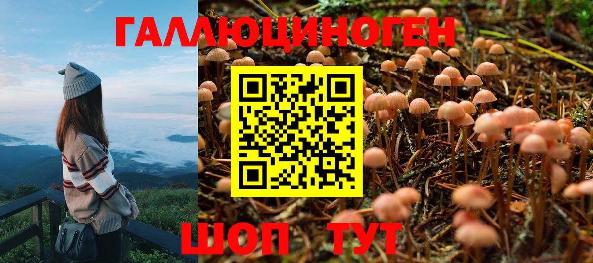 даркнет сайт  Вход с VPN  Михайловск  Псилоцибиновые грибы MAGIC MUSHROOMS 