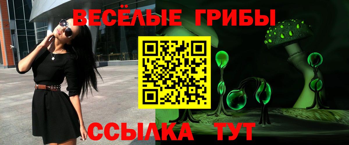 Псилоцибиновые грибы Magic Shrooms Михайловск